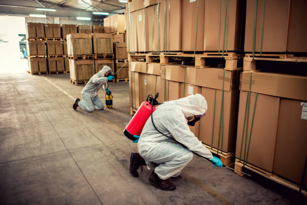 Best Best Pest Control Near Me  in Stonewall, MS