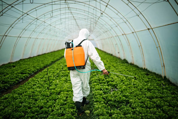 Best Best Pest Control Companies  in Stonewall, MS