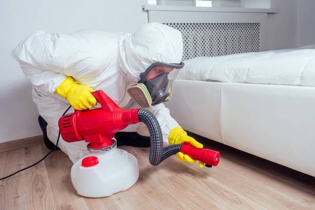 Best Pest Control Treatment  in Stonewall, MS