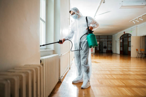 Best Commercial Pest Control Services  in Stonewall, MS